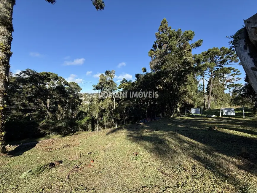 Foto 3 de Terreno / Lote à venda, 1030m2 em Campos Do Jordao - SP