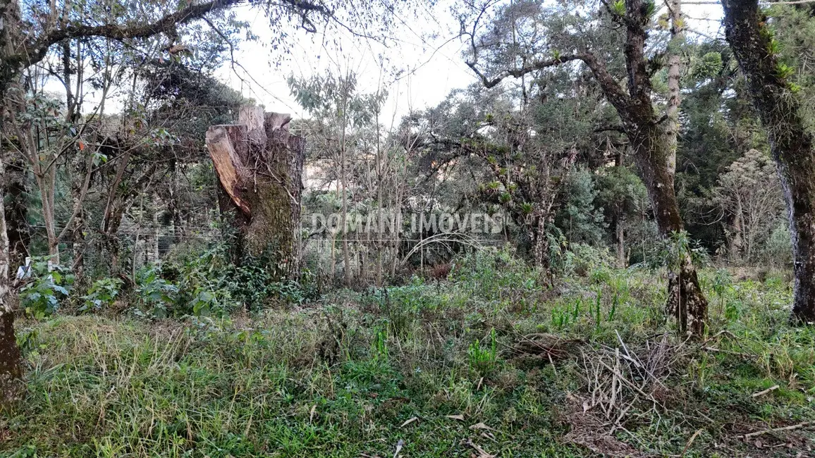 Terreno / Lote à venda, 1030m2 em Campos Do Jordao - SP - imagem 6 Foto 6 de Terreno / Lote à venda, 1030m2 em Campos Do Jordao - SP