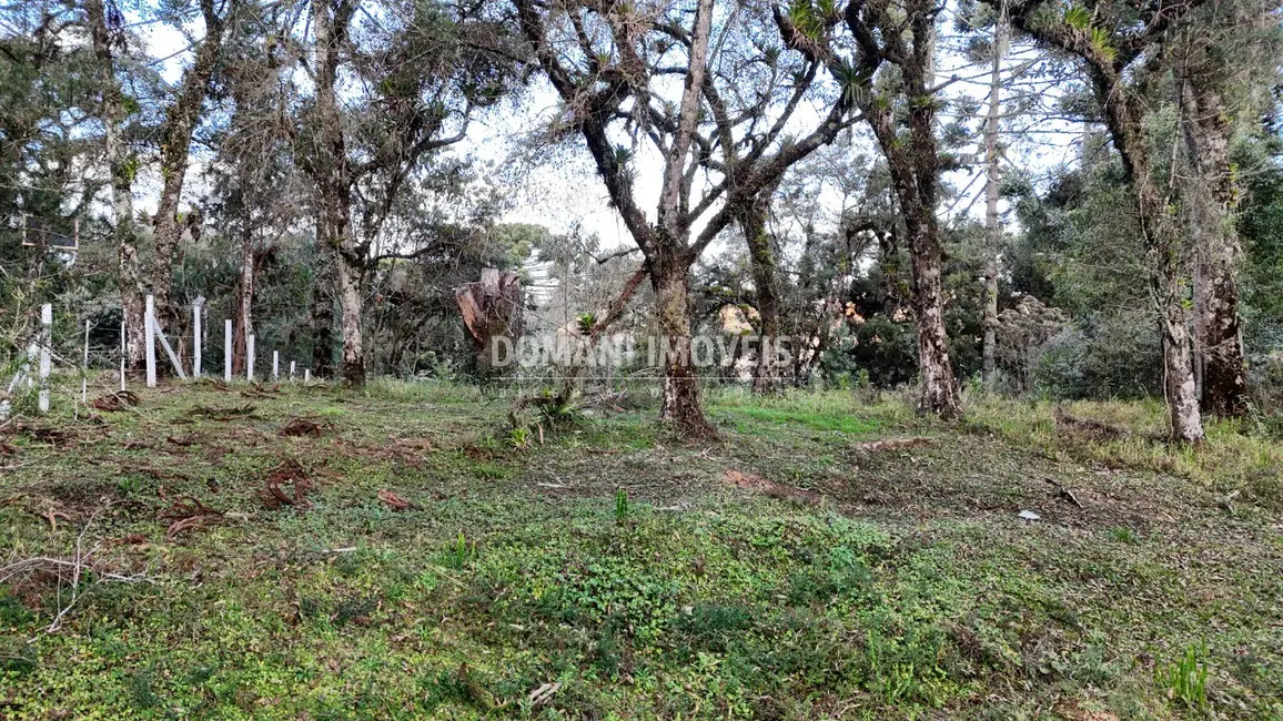 Terreno / Lote à venda, 1030m2 em Campos Do Jordao - SP - imagem 7 Foto 7 de Terreno / Lote à venda, 1030m2 em Campos Do Jordao - SP