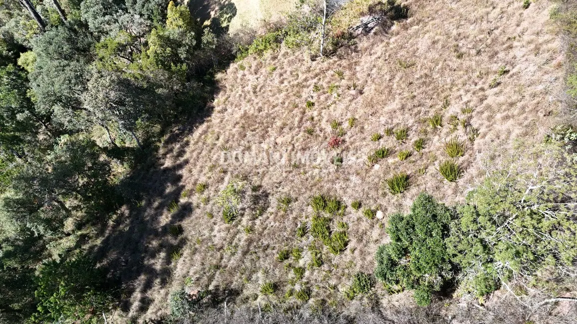 Foto 6 de Terreno / Lote à venda, 1385m2 em Campos Do Jordao - SP