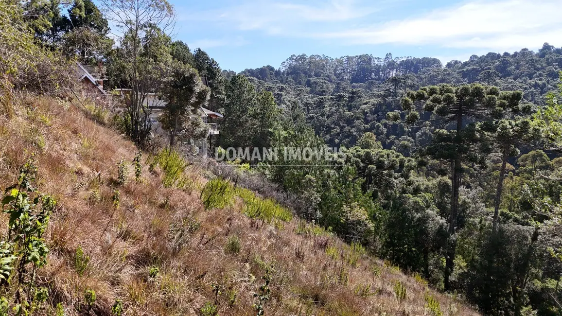 Foto 9 de Terreno / Lote à venda, 1385m2 em Campos Do Jordao - SP