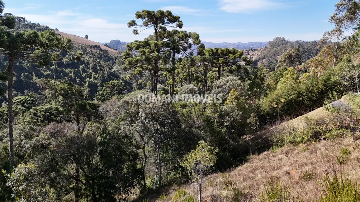 Foto 2 de Terreno / Lote à venda, 1385m2 em Campos Do Jordao - SP