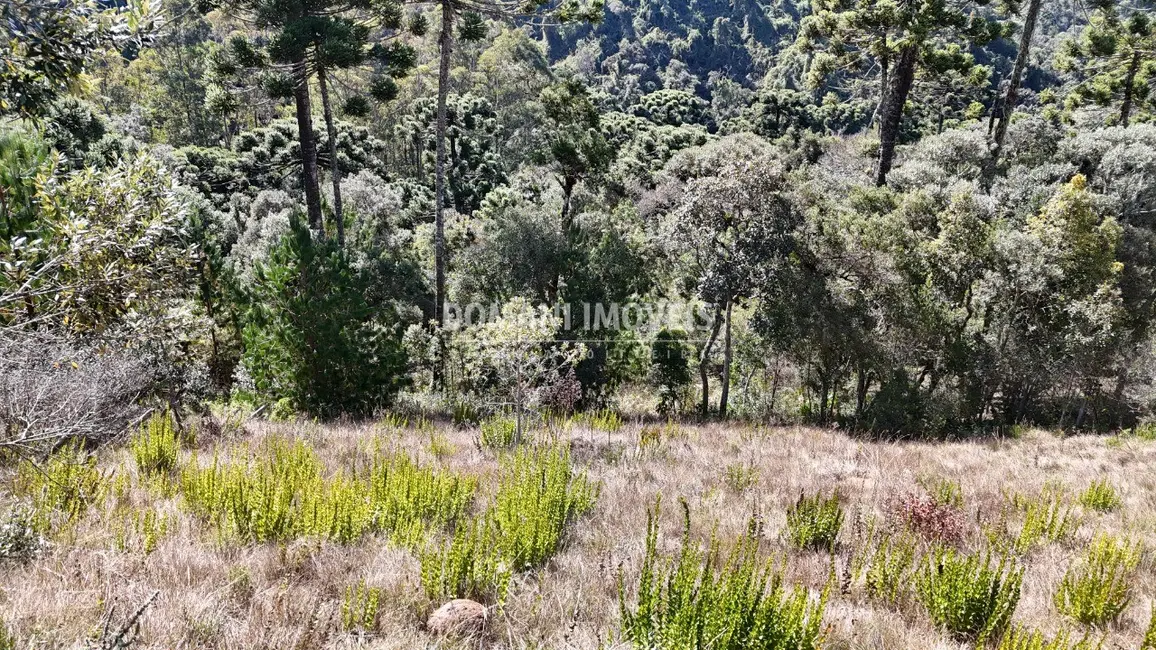Foto 7 de Terreno / Lote à venda, 1385m2 em Campos Do Jordao - SP