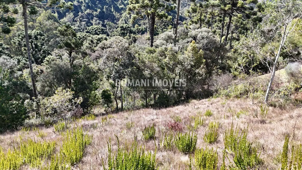Foto 3 de Terreno / Lote à venda, 1385m2 em Campos Do Jordao - SP