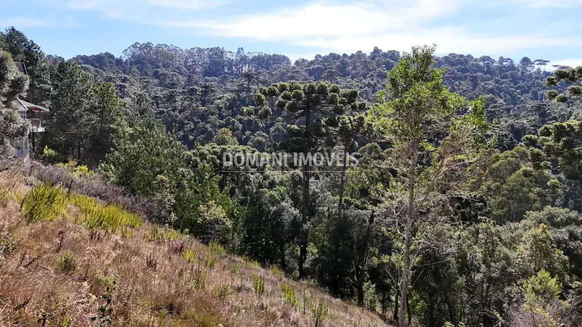 Foto 5 de Terreno / Lote à venda, 1385m2 em Campos Do Jordao - SP