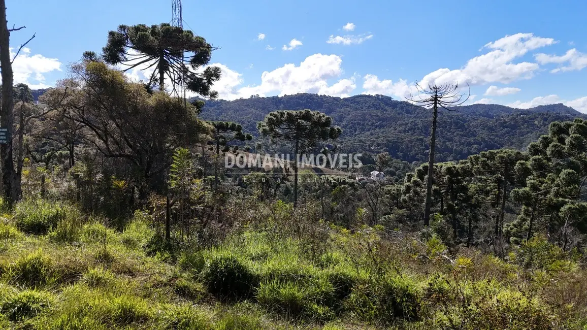 Foto 9 de Terreno / Lote à venda, 2956m2 em Campos Do Jordao - SP