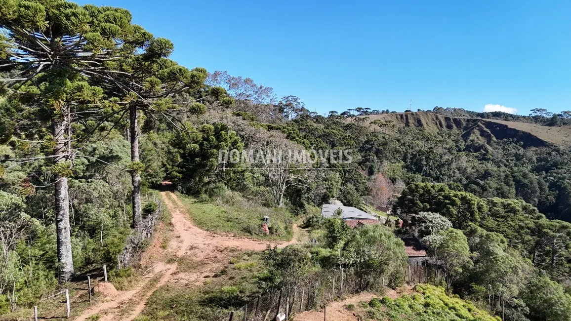 Foto 6 de Terreno / Lote à venda, 2956m2 em Campos Do Jordao - SP