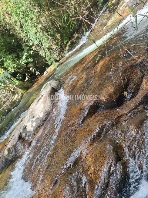 Foto 4 de Casa com 1 quarto à venda, 80m2 em Itamonte - MG