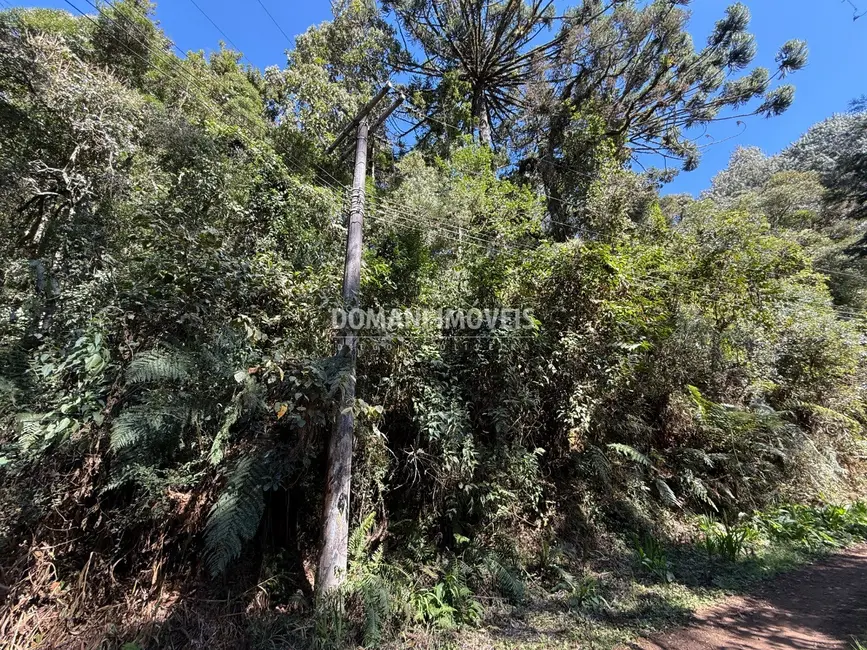 Foto 9 de Terreno / Lote à venda, 1212m2 em Campos Do Jordao - SP