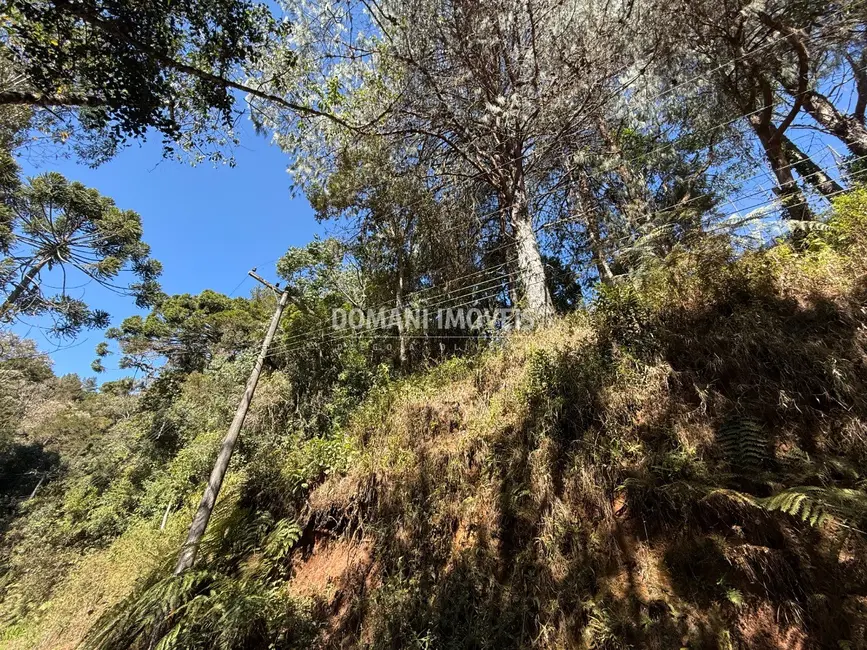 Foto 1 de Terreno / Lote à venda, 1212m2 em Campos Do Jordao - SP