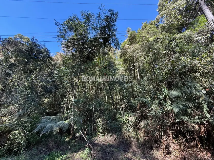Foto 2 de Terreno / Lote à venda, 1212m2 em Campos Do Jordao - SP