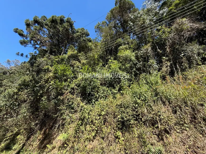 Foto 6 de Terreno / Lote à venda, 1212m2 em Campos Do Jordao - SP