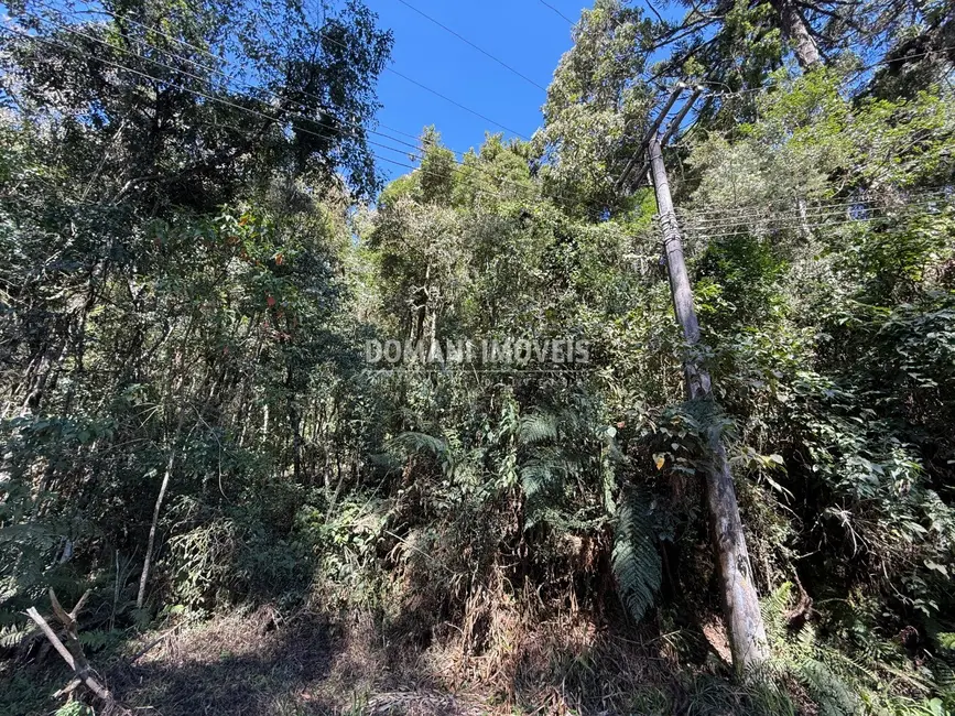Foto 5 de Terreno / Lote à venda, 1212m2 em Campos Do Jordao - SP
