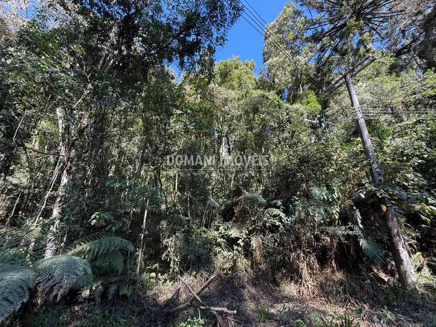 Foto 3 de Terreno / Lote à venda, 1212m2 em Campos Do Jordao - SP