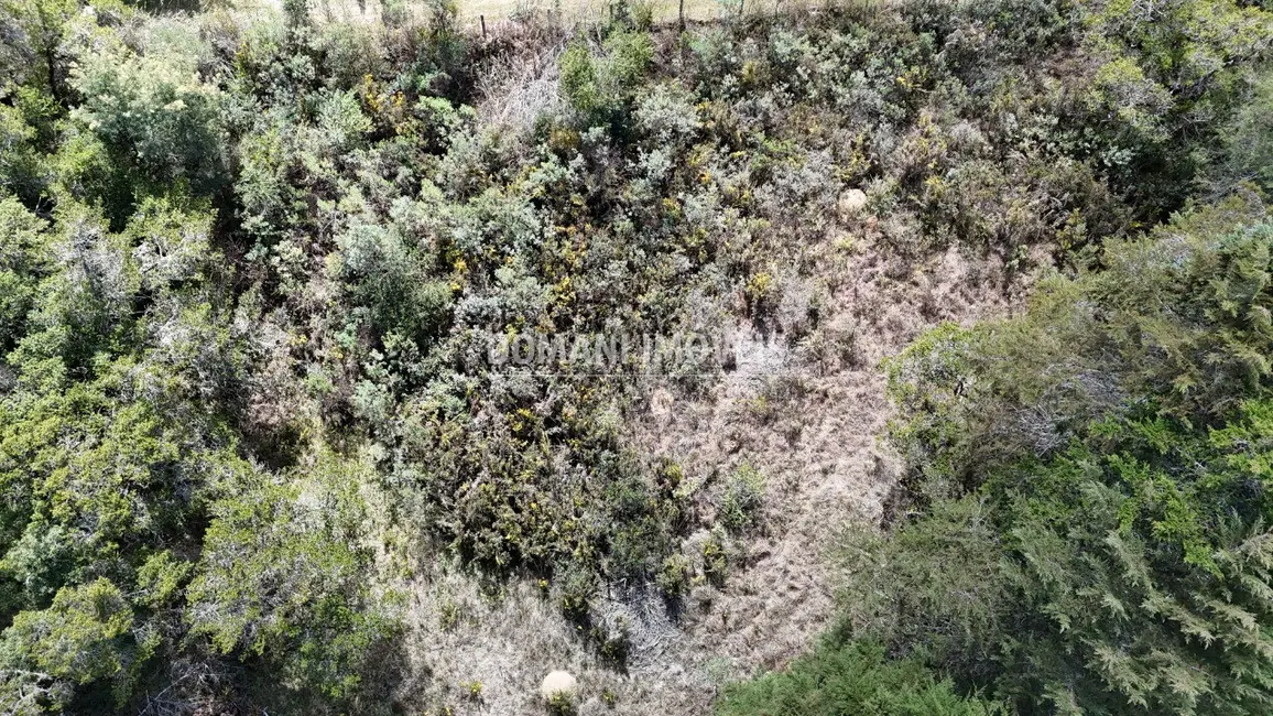 Foto 5 de Terreno / Lote à venda, 1010m2 em Campos Do Jordao - SP