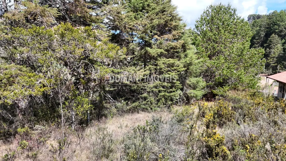 Foto 6 de Terreno / Lote à venda, 1010m2 em Campos Do Jordao - SP
