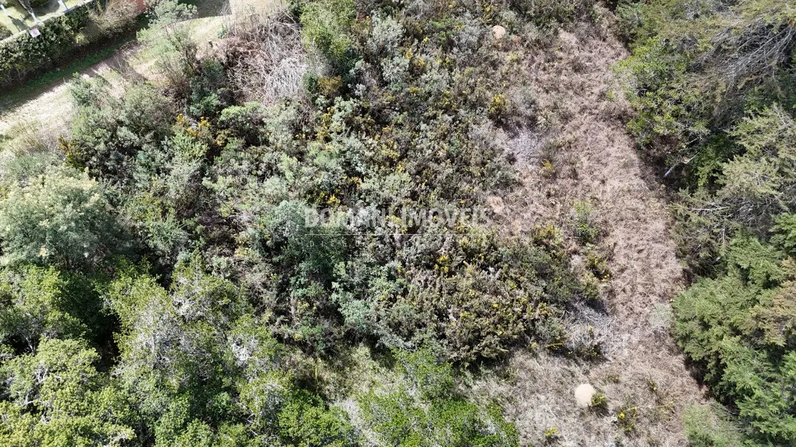 Foto 4 de Terreno / Lote à venda, 1010m2 em Campos Do Jordao - SP