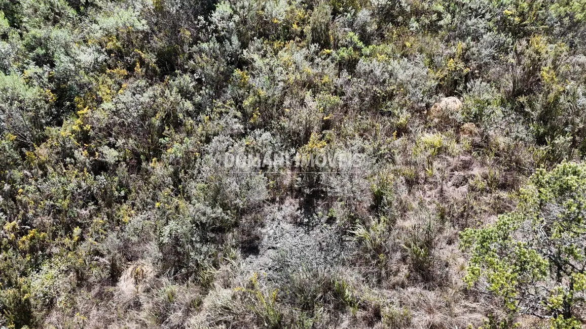 Foto 3 de Terreno / Lote à venda, 1010m2 em Campos Do Jordao - SP