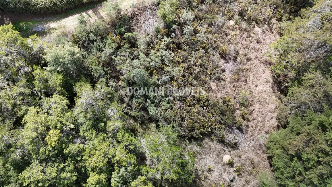 Foto 8 de Terreno / Lote à venda, 1010m2 em Campos Do Jordao - SP