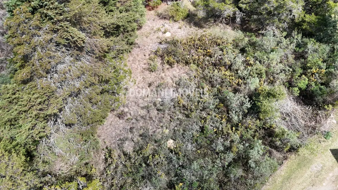 Foto 1 de Terreno / Lote à venda, 1010m2 em Campos Do Jordao - SP
