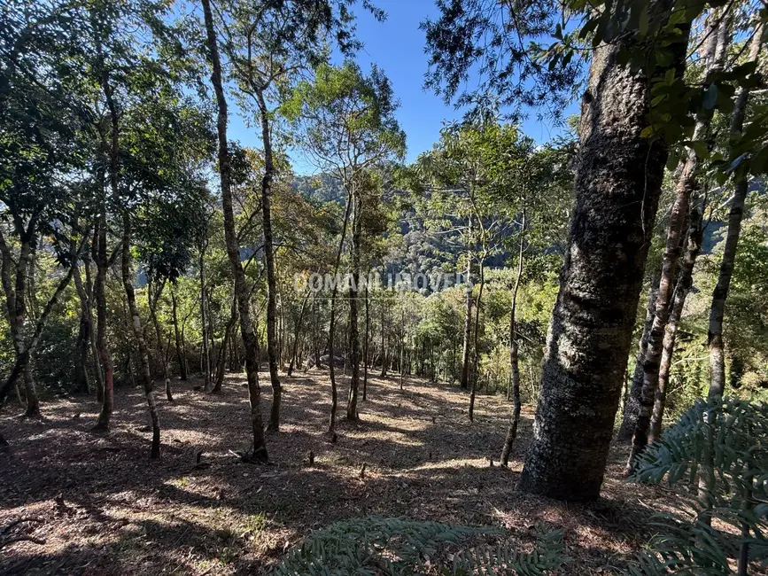 Foto 8 de Terreno / Lote à venda, 1210m2 em Campos Do Jordao - SP