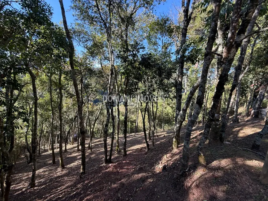 Foto 3 de Terreno / Lote à venda, 1210m2 em Campos Do Jordao - SP