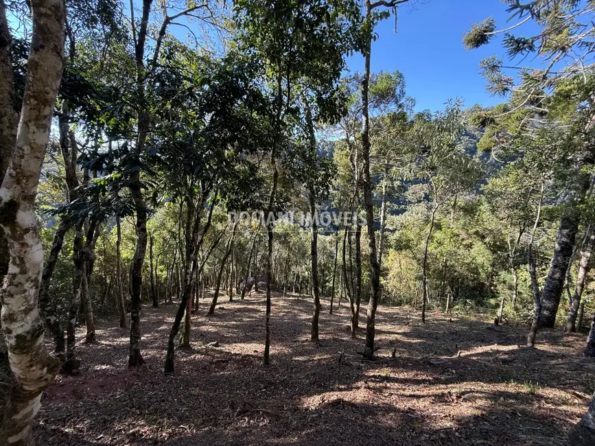 Foto 1 de Terreno / Lote à venda, 1210m2 em Campos Do Jordao - SP