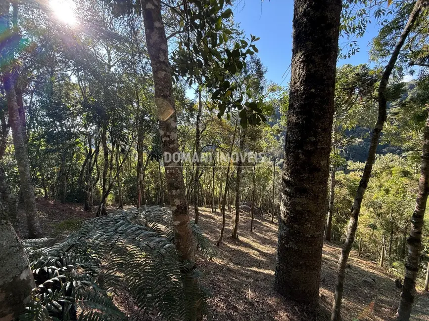Foto 6 de Terreno / Lote à venda, 1210m2 em Campos Do Jordao - SP