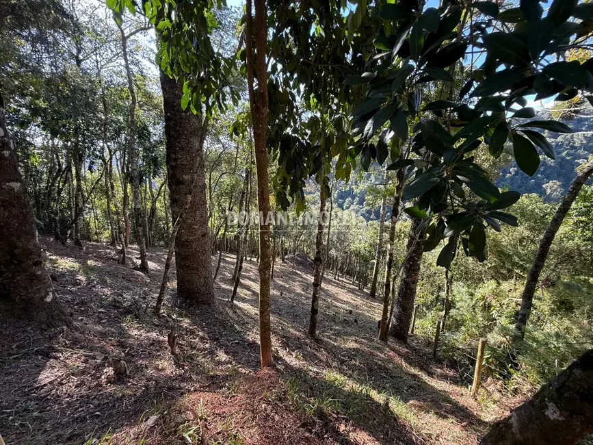 Foto 4 de Terreno / Lote à venda, 1210m2 em Campos Do Jordao - SP