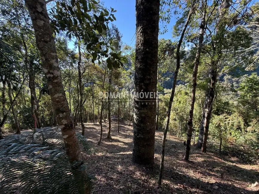 Foto 7 de Terreno / Lote à venda, 1210m2 em Campos Do Jordao - SP