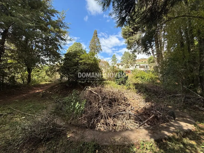 Foto 7 de Casa com 4 quartos à venda, 260m2 em Campos Do Jordao - SP