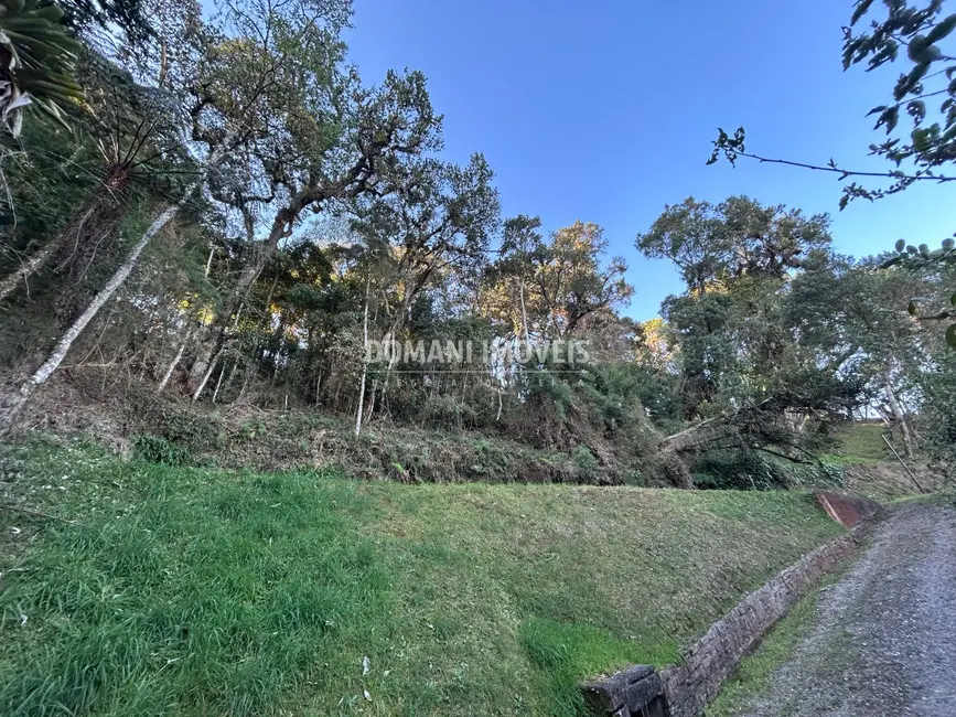 Terreno / Lote à venda, 1535m2 em Campos Do Jordao - SP - imagem 9 Foto 9 de Terreno / Lote à venda, 1535m2 em Campos Do Jordao - SP