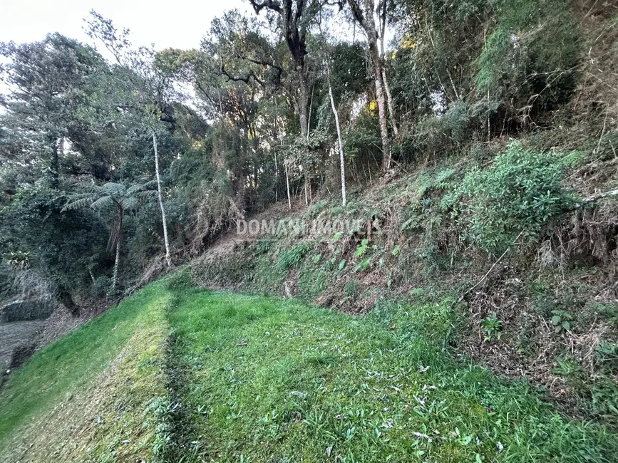 Terreno / Lote à venda, 1535m2 em Campos Do Jordao - SP - imagem 4 Foto 4 de Terreno / Lote à venda, 1535m2 em Campos Do Jordao - SP