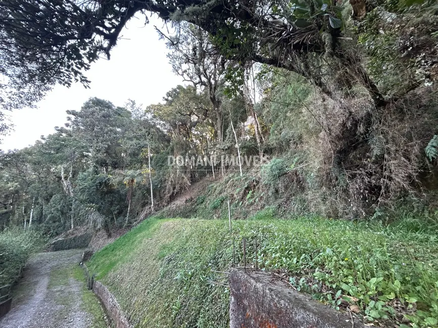 Terreno / Lote à venda, 1535m2 em Campos Do Jordao - SP - imagem 7 Foto 7 de Terreno / Lote à venda, 1535m2 em Campos Do Jordao - SP
