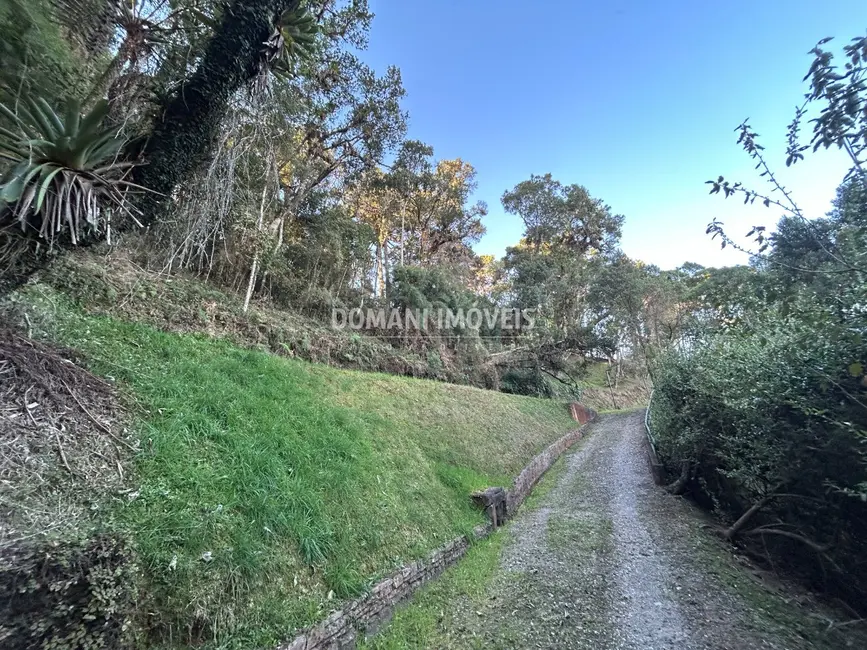 Terreno / Lote à venda, 1535m2 em Campos Do Jordao - SP - imagem 8 Foto 8 de Terreno / Lote à venda, 1535m2 em Campos Do Jordao - SP
