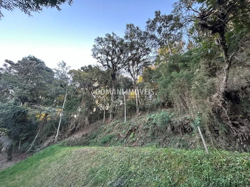 Terreno / Lote à venda, 1535m2 em Campos Do Jordao - SP - imagem 6 Foto 6 de Terreno / Lote à venda, 1535m2 em Campos Do Jordao - SP