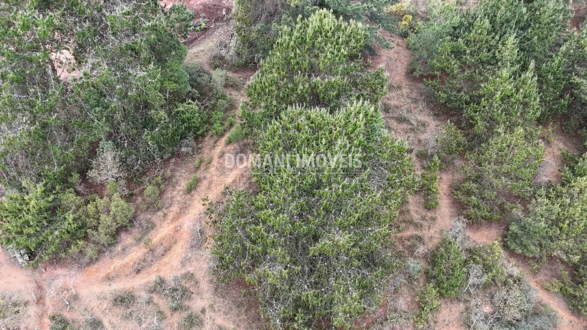 Foto 6 de Terreno / Lote à venda, 1685m2 em Campos Do Jordao - SP