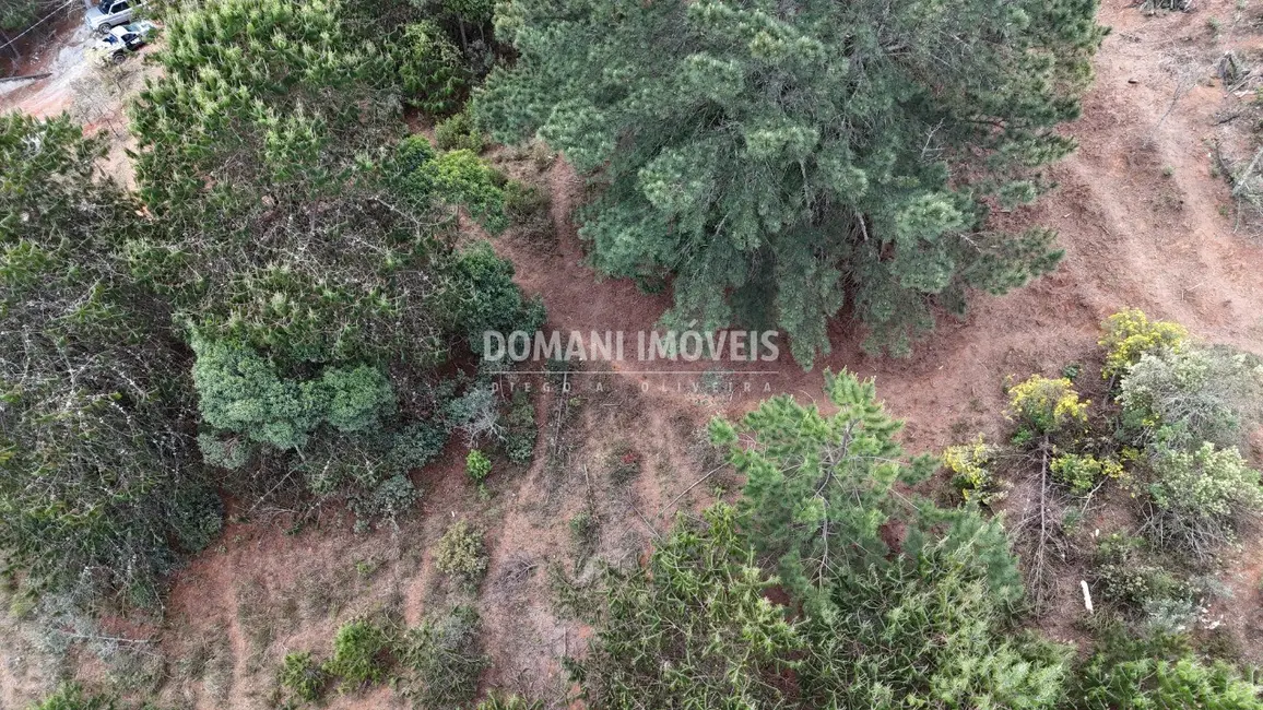 Foto 5 de Terreno / Lote à venda, 1685m2 em Campos Do Jordao - SP