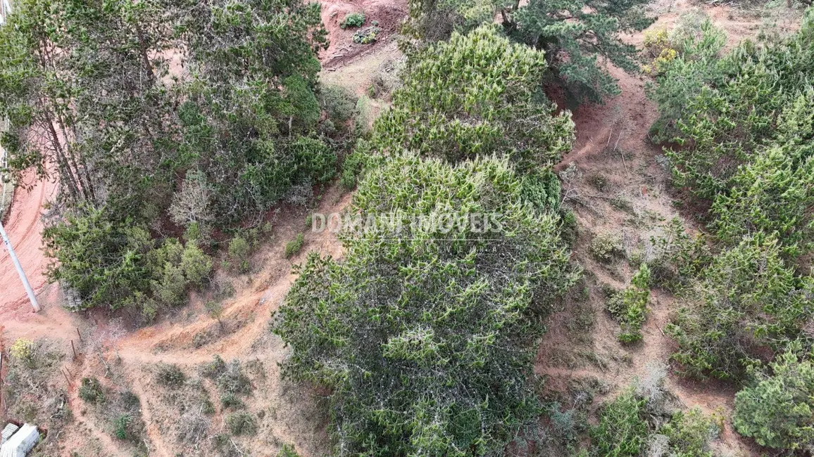 Foto 3 de Terreno / Lote à venda, 1685m2 em Campos Do Jordao - SP