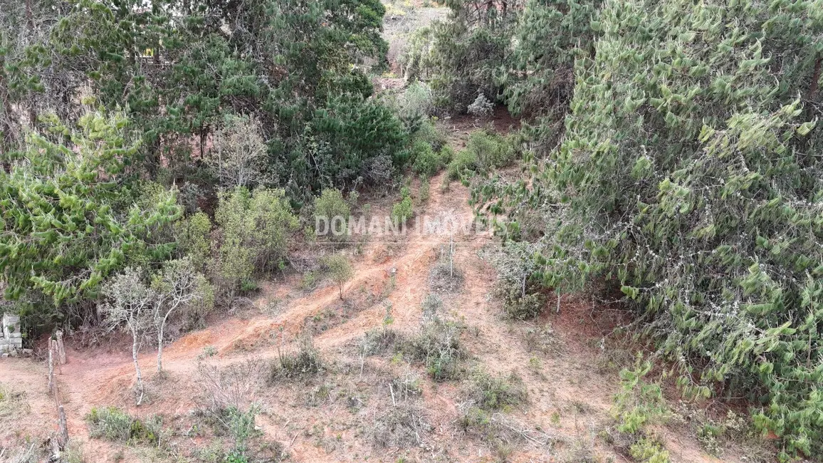 Foto 7 de Terreno / Lote à venda, 1685m2 em Campos Do Jordao - SP