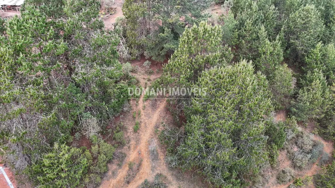 Foto 9 de Terreno / Lote à venda, 1685m2 em Campos Do Jordao - SP