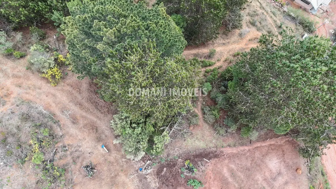 Foto 8 de Terreno / Lote à venda, 1685m2 em Campos Do Jordao - SP