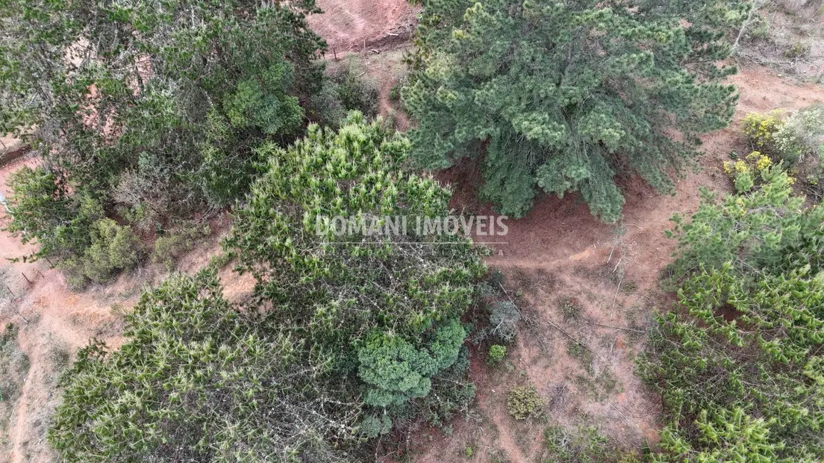 Foto 4 de Terreno / Lote à venda, 1685m2 em Campos Do Jordao - SP