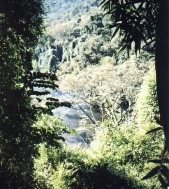 Foto 5 de Fazenda / Haras à venda em Iporanga - SP