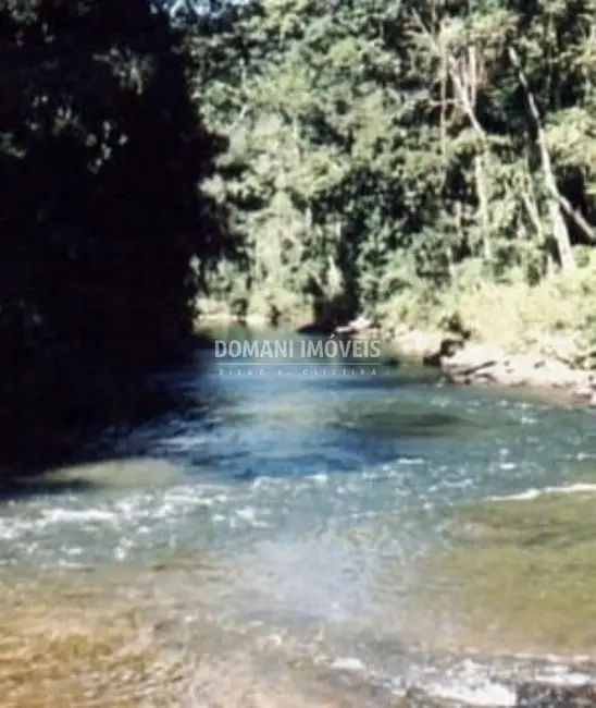 Foto 4 de Fazenda / Haras à venda em Iporanga - SP
