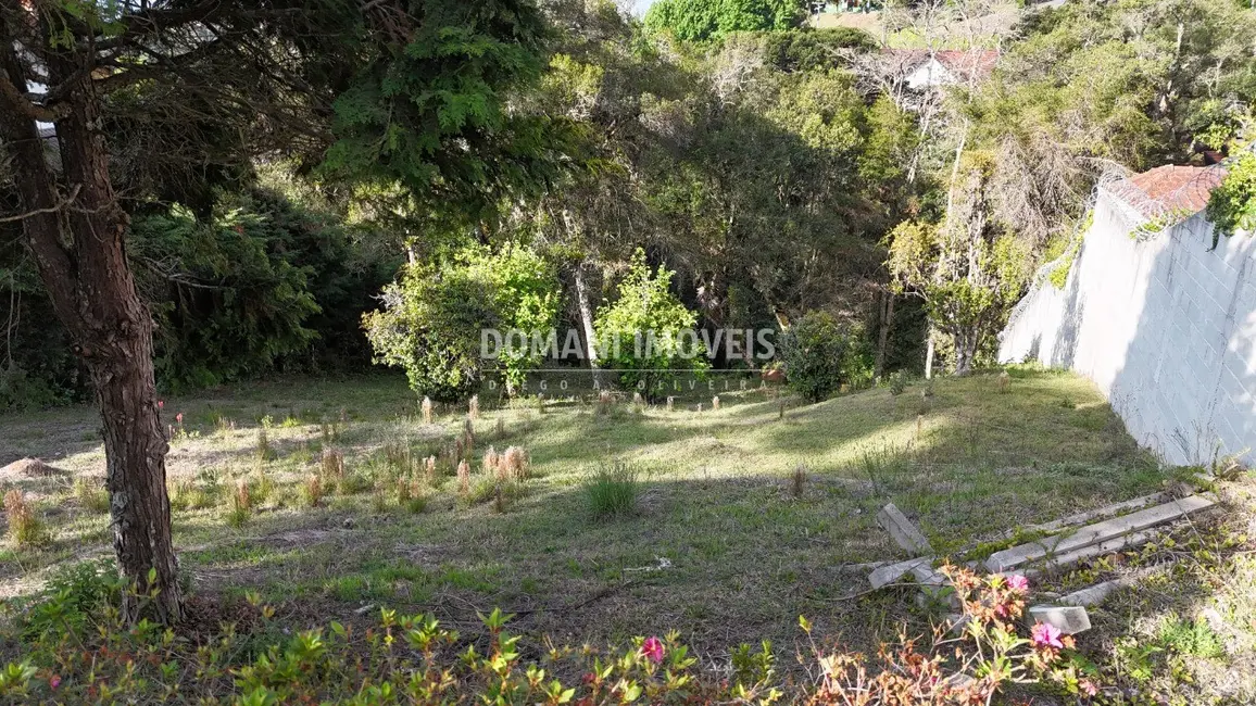 Foto 5 de Terreno / Lote à venda, 1395m2 em Campos Do Jordao - SP