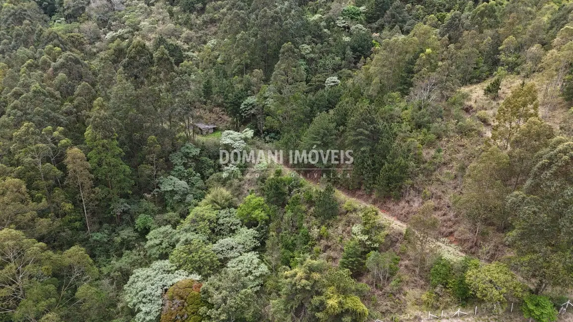 Foto 6 de Terreno / Lote à venda em Campos Do Jordao - SP