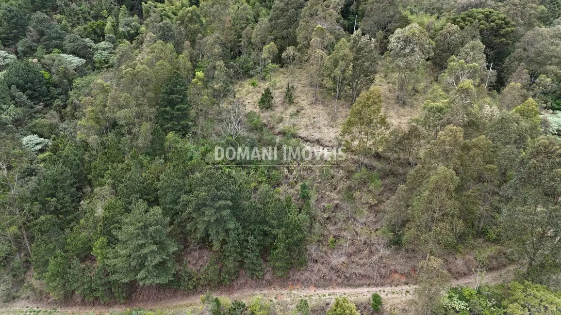 Foto 7 de Terreno / Lote à venda em Campos Do Jordao - SP