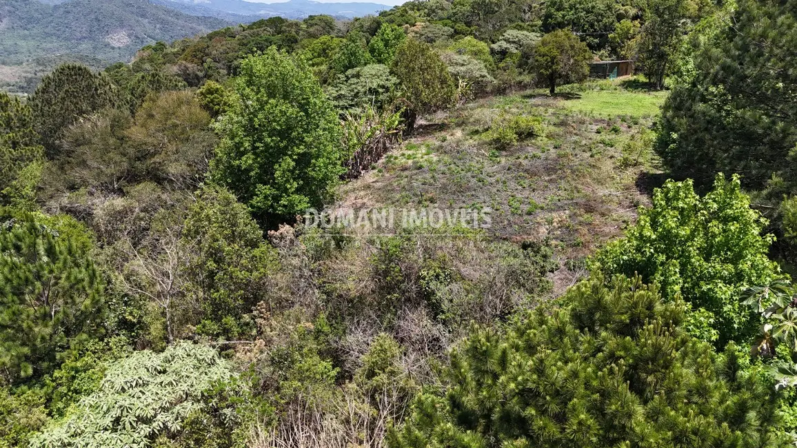 Foto 3 de Terreno / Lote à venda em Campos Do Jordao - SP