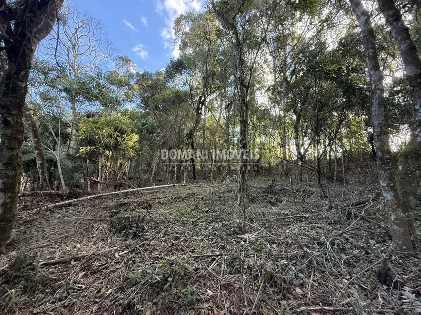 Terreno / Lote à venda, 1095m2 em Campos Do Jordao - SP - imagem 3 Foto 3 de Terreno / Lote à venda, 1095m2 em Campos Do Jordao - SP